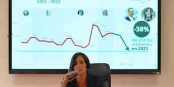La deforestación en Colombia se redujo en 36% en 2023, la cifra más baja en más de dos décadas: MinAmbiente