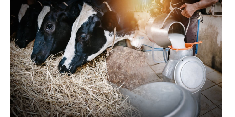 ¿Cómo la variabilidad climática afecta los precios de leche cruda del Atlántico?