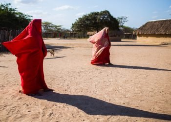 Un profesor y una egresada integrarán Comisión Asesora Científica contra la desnutrición en La Guajira