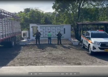 Una persona capturada y 2 toneladas de marihuana fueron incautadas en La Guajira