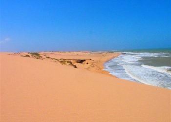 Corpoguajira promociona a nivel nacional las riquezas  ambientales del Departamento
