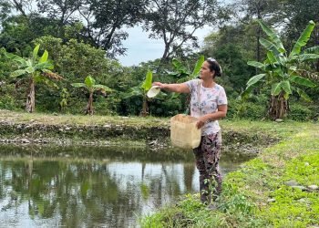 ECOMUN y CISP abren licitación para la construcción de una unidad productiva piscícola en La Guajira