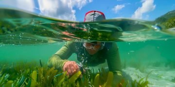 Uninorte se incorpora al Centro de Excelencia en Ciencias Marinas