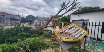 152 casas destechadas y 145 árboles caídos por vendaval en Barranquilla
