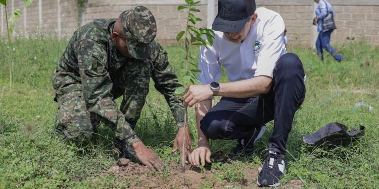 Corpoguajira avanza en la sembratón para celebrar el Día Mundial del Árbol