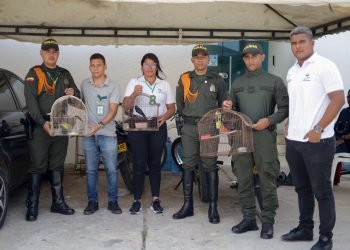 Incautación de aves en Riohacha: un llamado a la conciencia ambiental