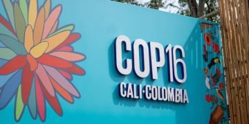 La COP16, un evento trascendental para la biodiversidad mundial