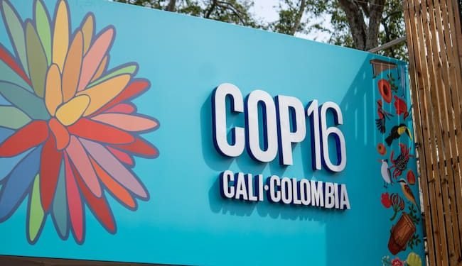 La COP16, un evento trascendental para la biodiversidad mundial