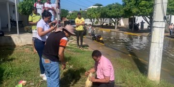 Corpoguajira rescata babilla en la Av. Circunvalar de Riohacha