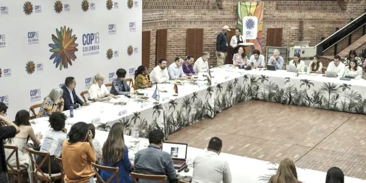 Corpoguajira firma el decálogo “Caribe Vivo Biodiverso” en la COP16