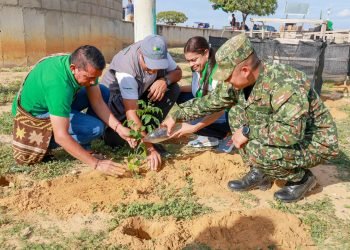 El Ejército lidera la reforestación y recuperación de ecosistemas en el Cesar y La Guajira