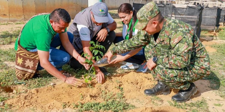 El Ejército lidera la reforestación y recuperación de ecosistemas en el Cesar y La Guajira