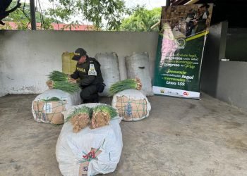 Policía decomisar una tonelada de alimentos perecederos en La Guajira