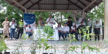 Corpoguajira inicia la sembratón 2024 para celebrar el Día Mundial del Árbol