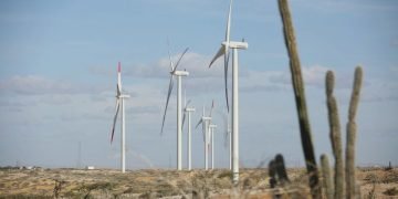 En 2025 Ecopetrol hará inversiones millonarias para la lucha contra el cambio climático
