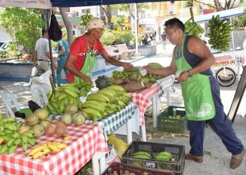 Durante dos días se realizará la Feria Campesina y de Negocios verdes