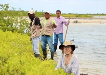 Del 2 al 6 de diciembre Corpoguajira realizará el Taller Nacional de Manglares