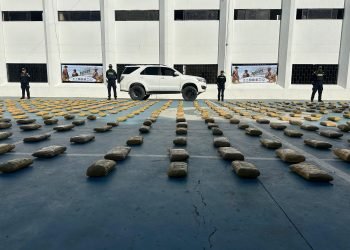 Policía incauta 760 paquetes prensados de marihuana en zona rural de Manaure