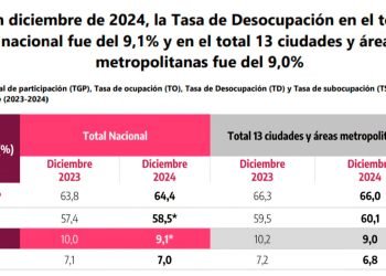 Desempleo de diciembre de 2024 se ubicó en 9,1 %, la cifra más baja desde 2017