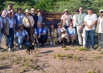 Conservación de los manglares de La Guajira: la nueva apuesta del gobierno departamental, el PMA y las cooperantes internacionales