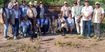 Conservación de los manglares de La Guajira: la nueva apuesta del gobierno departamental, el PMA y las cooperantes internacionales