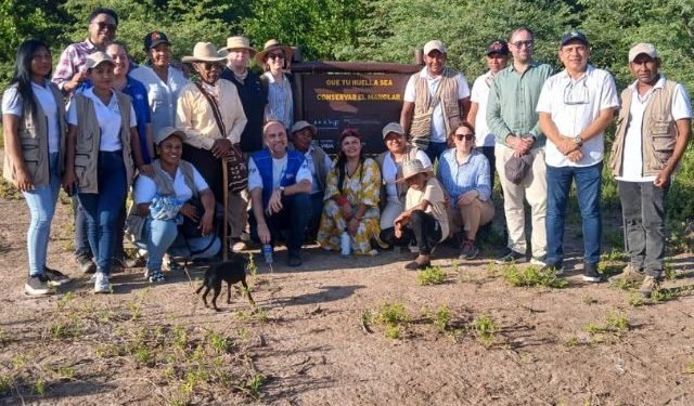 Conservación de los manglares de La Guajira: la nueva apuesta del gobierno departamental, el PMA y las cooperantes internacionales