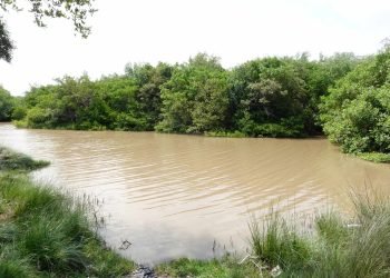 Corpoguajira y gobierno de la isla de Guadalupe firman convenio para restauración del ecosistema de manglar en el DRMI Delta del río Ranchería
