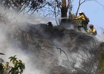 Sistema de Alertas Tempranas de Corpoguajira advierte sobre altas temperaturas y riesgo de incendios forestales