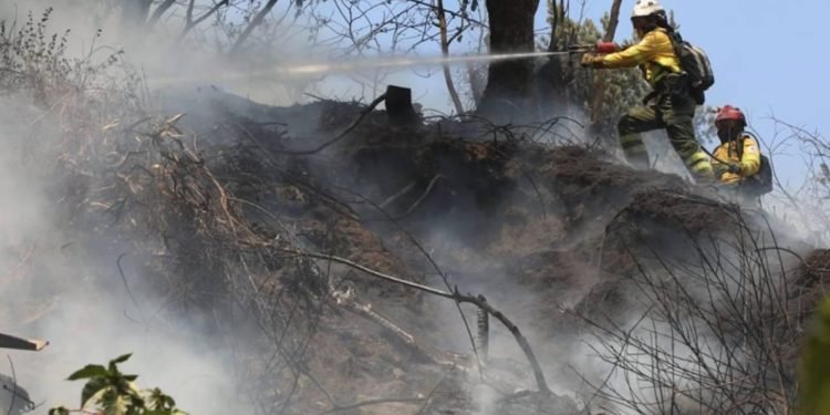 Sistema de Alertas Tempranas de Corpoguajira advierte sobre altas temperaturas y riesgo de incendios forestales