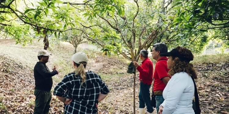 Con balance positivo culmina la visita de evaluación externa al programa de Ingeniería Agronómica de UNIMAGDALENA