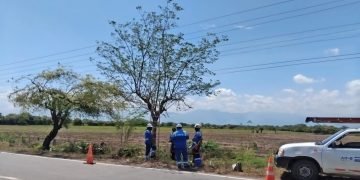 Corpoguajira impone medida preventiva contra la empresa Air-e y ordena suspender las actividades de poda que viene realizando