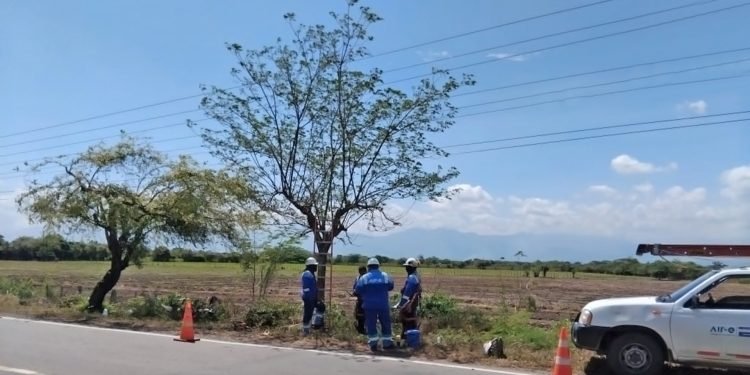Corpoguajira impone medida preventiva contra la empresa Air-e y ordena suspender las actividades de poda que viene realizando