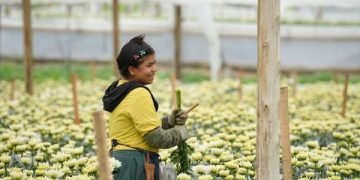 Colombia triplicó la exportación de flores a diferentes países del mundo para la celebración del Día de la Madre