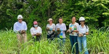 Liberan fauna silvestre en zona receptora de Drummond Ltd. para fortalecer la conservación de la biodiversidad en el Cesar