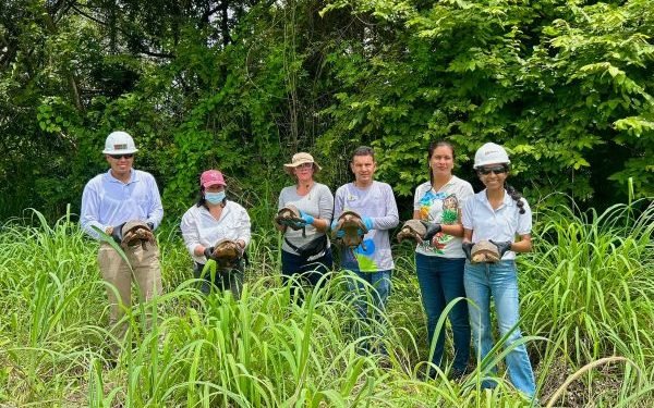 Liberan fauna silvestre en zona receptora de Drummond Ltd. para fortalecer la conservación de la biodiversidad en el Cesar