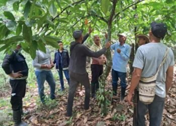 El ICA fortalece la sanidad vegetal en La Guajira