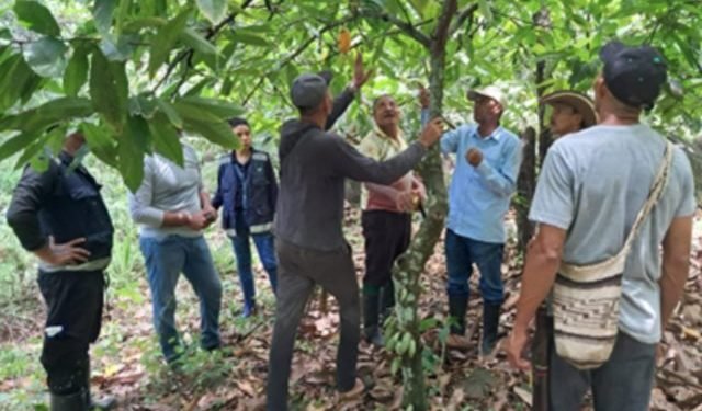 El ICA fortalece la sanidad vegetal en La Guajira