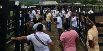 En La Guajira empezamos a cuidar mejor a nuestros animales: transportadores se forman en bienestar animal
