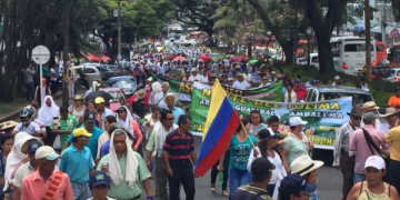 Para nacional arrocero inicia este lunes 14 de julio