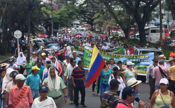 Para nacional arrocero inicia este lunes 14 de julio