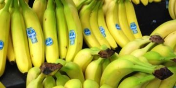 Condenan a 7 bananeros de Chiquita Brands por haber financiado grupos paramilitares
