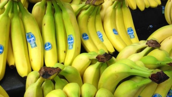 Condenan a 7 bananeros de Chiquita Brands por haber financiado grupos paramilitares