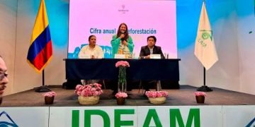 Colombia consolidó en 2024 la segunda cifra de deforestación más baja de la historia: 113.608 hectáreas
