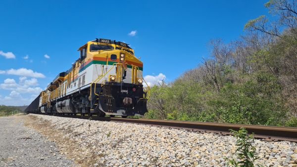Una joven wayuu muere arrollada por el tren de Cerrejón