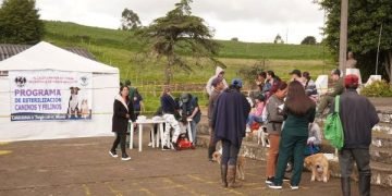 Esterilizaciones caninas y felinas gratuitas en zonas urbana y rural de Tunja