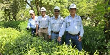 Drummond Ltd. alcanza un nuevo hito ambiental con la certificación del ICA a su Vivero Forestal