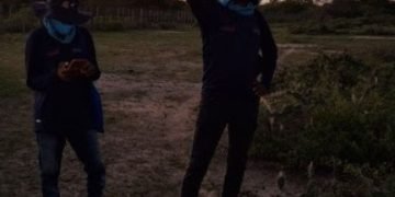 Enlaza implementa piloto para proteger al flamenco rosado del Caribe en La Guajira