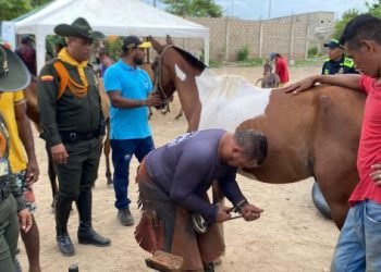 La Policía Nacional lidera Gran Jornada de Bienestar Animal en Riohacha