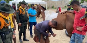 La Policía Nacional lidera Gran Jornada de Bienestar Animal en Riohacha