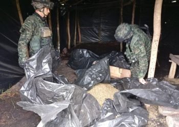 Ejército Nacional destruyó e incautó marihuana y clorhidrato de cocaína en Uribia, La Guajira